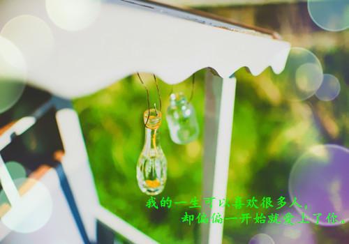 秋 月