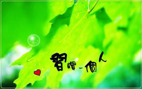 五年级看图作文:三只小猫