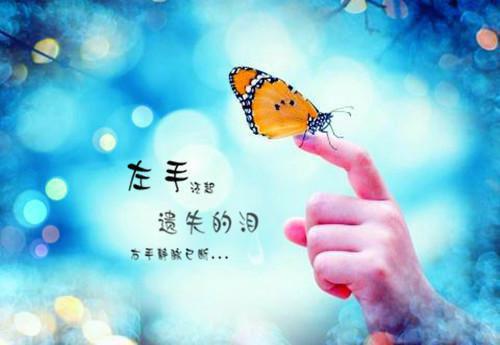 怀念我的同学们