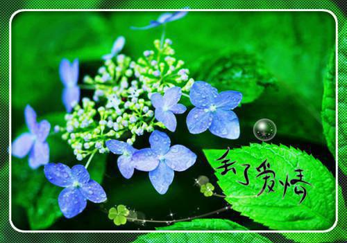 关于夏天的作文:乡村的夏天 10