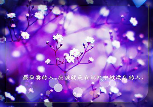 描写春天美景的励志诗句