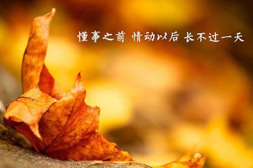 高三写景作文:时间的声音