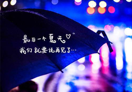 初一写景作文:二阶段的新视眼