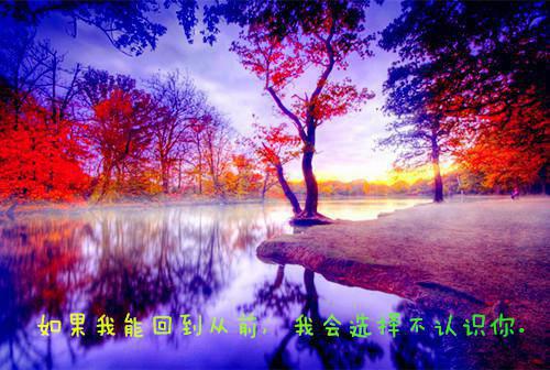 秋天的校园小学作文:秋天的步伐走进校园九