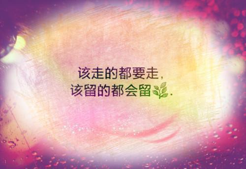 二年级日记:我真了不起