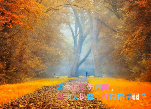友情用英语怎么说,友情的英文翻译