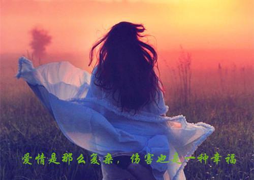 高三议论文:竹密岂妨流水过