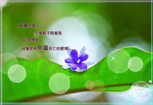周若淳赵烨全文免费在线阅读