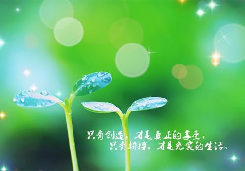初三观后感:《功勋》观后感四