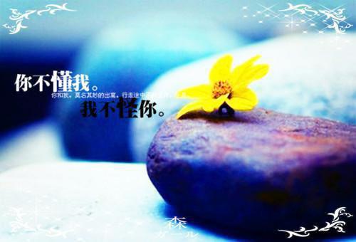 初一写景作文:春之物语