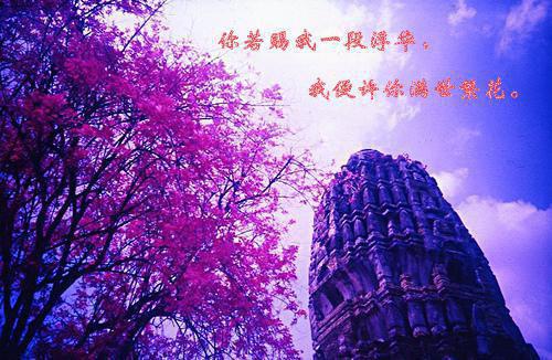 她，好美