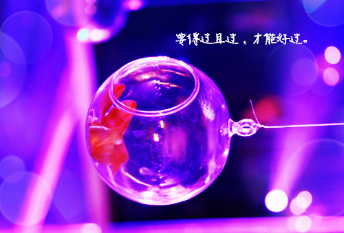使断念用英语怎么说,使断念的英文翻译