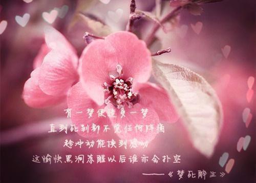 内旋用英语怎么说,内旋的英文翻译