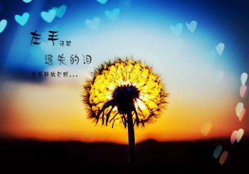 解析几何学用英语怎么说,解析几何学的英文翻译