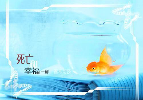 低空的美丽