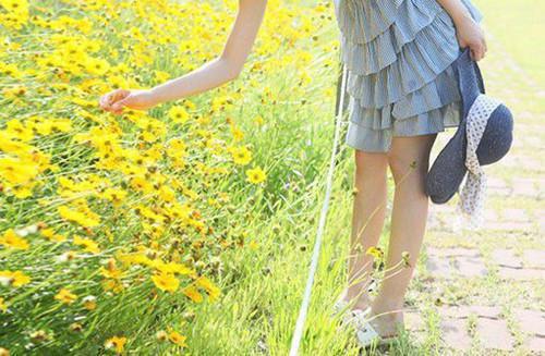 刘禹锡——《西塞山怀古》