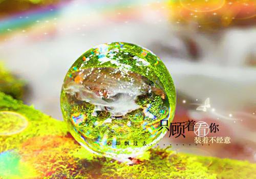 互相残杀用英语怎么说,互相残杀的英文翻译