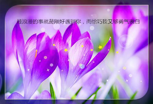 赛车用英语怎么说,赛车的英文翻译