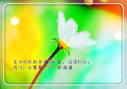 关于雾的作文:雾来了