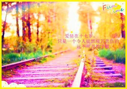 抓泥鳅
