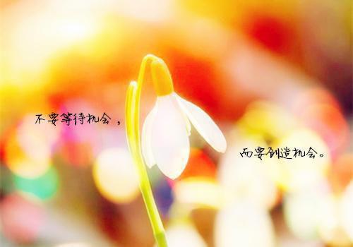 奉献名人名言80句