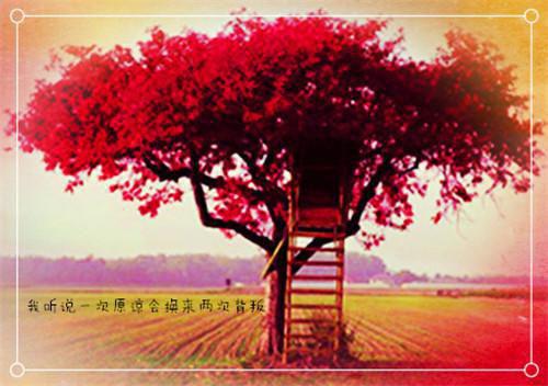 紧急事件用英语怎么说,紧急事件的英文翻译
