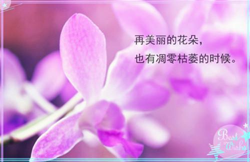 初一叙事作文:爆炸跳跳糖