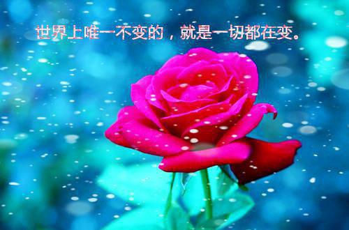 三年级日记:勇于挑战超越自我