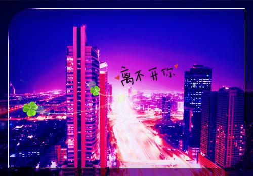 秋天的校园小学作文:校园的落叶九