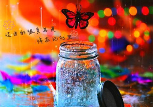 六年级写人作文:我的奶奶六