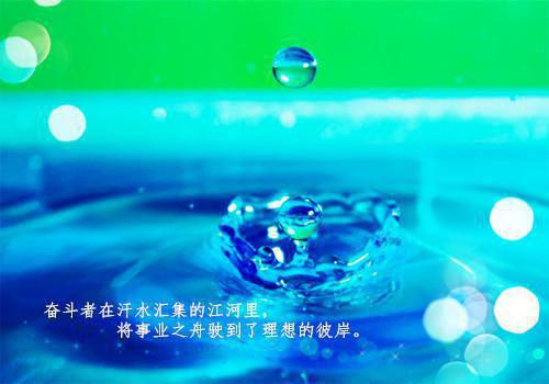 假果用英语怎么说,假果的英文翻译