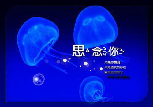 观《开心超人》有感