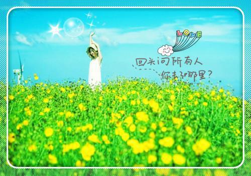 关于夏天的作文:夏天的蚊子