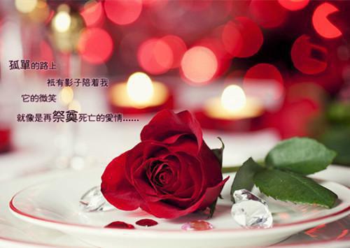 六年级写人作文:新同学
