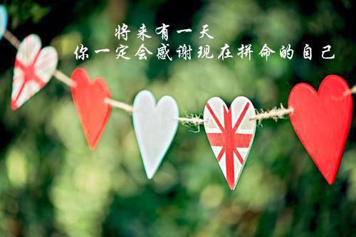 初二写景作文:我心中的美景
