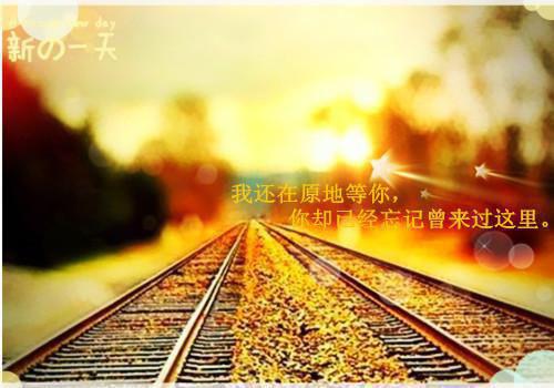 放烟花