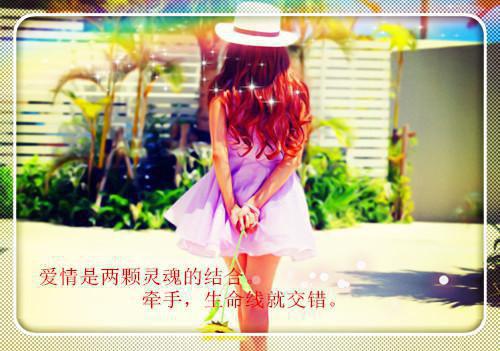 关于动物童话故事