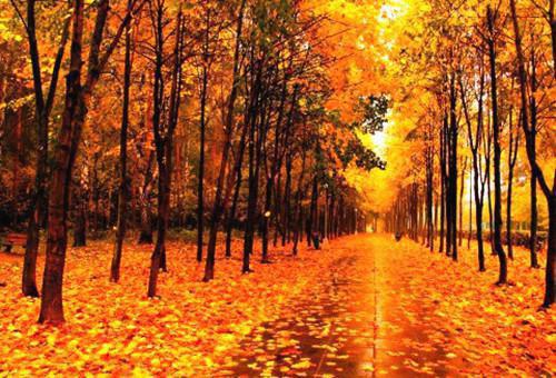 一年级日记:算术比赛