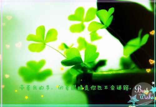 内感受器用英语怎么说,内感受器的英文翻译