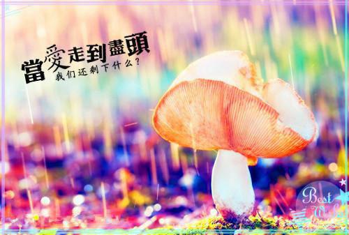 小港区用英语怎么说,小港区的英文翻译