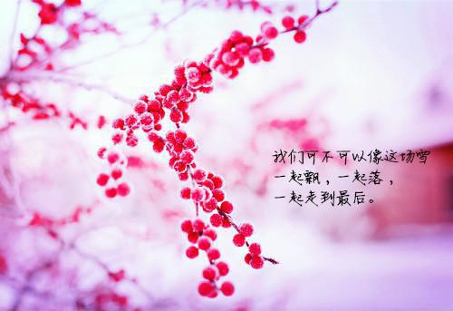 高二抒情散文:孤独——幸福