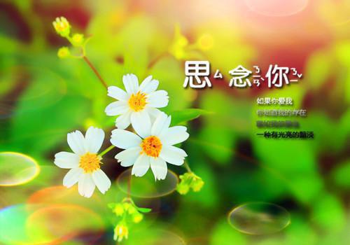 同情用英语怎么说,同情的英文翻译