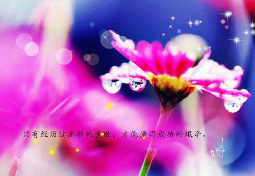 介子素用英语怎么说,介子素的英文翻译