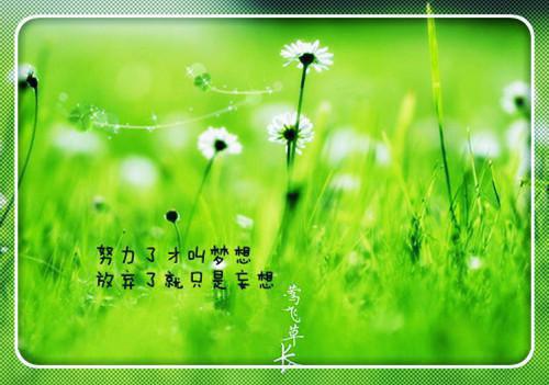 数说吴敏霞背后的故事