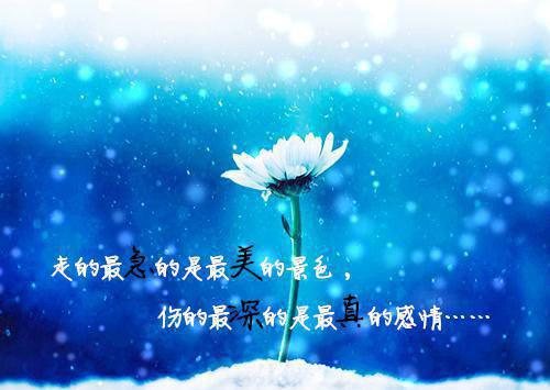 友谊的真谛