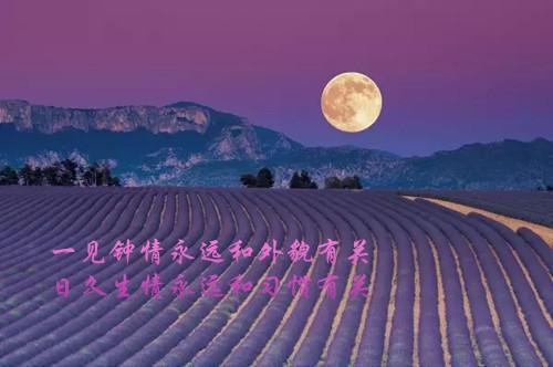 高二抒情散文:瞬间的永恒