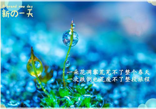 蚋用英语怎么说,蚋的英文翻译