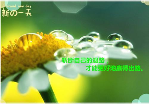 初二写景作文:思绪之景