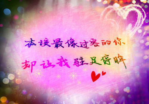 初一读后感:读《苏东坡传》有感12