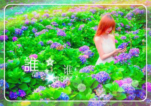 过年牙疼